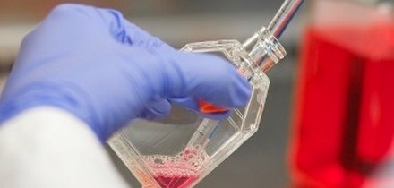 Incubación de células: ¿Está implementando técnicas de desinfección adecuadas