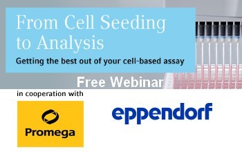 Free Webinar: From Cell Seding to Analysis