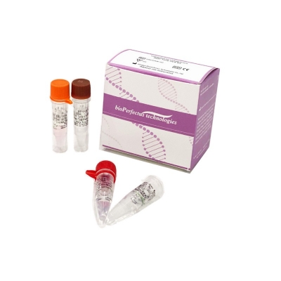 Kit de PCR en Tiempo Real Ureaplasma Urealyticum, Bioperfectus (50 test/kit)