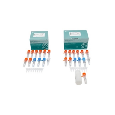 Kit de PCR en Tiempo Real para Human Papillomavirus Genotyping, Bioperfectus (48 test/kit)