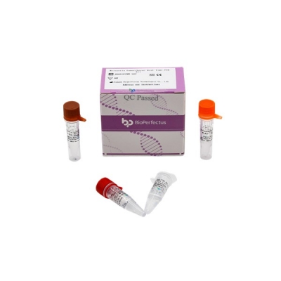 Kit de PCR en Tiempo Real Neisseria Gonorrhoeae/Chlamydia Trachomatis/U.urealyticum, Bioperfectus (50 test/kit)
