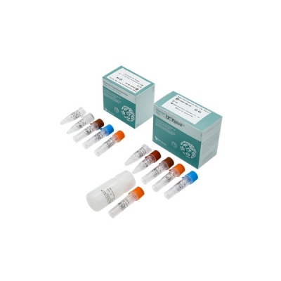 Kit de PCR en Tiempo Real para Human Papillomavirus (50 test/kit), Bioperfectus