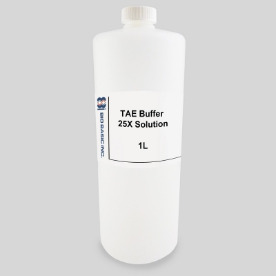 TAE buffer BioBasic, solución 25x - 1 l